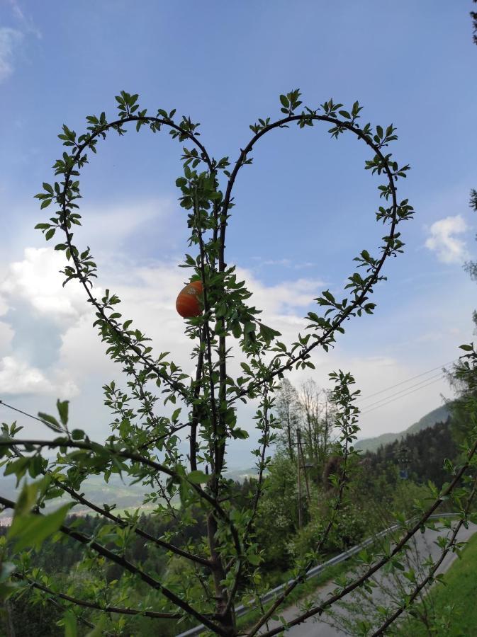 Bed and Breakfast Smucarska Koca Kotlje Exterior foto